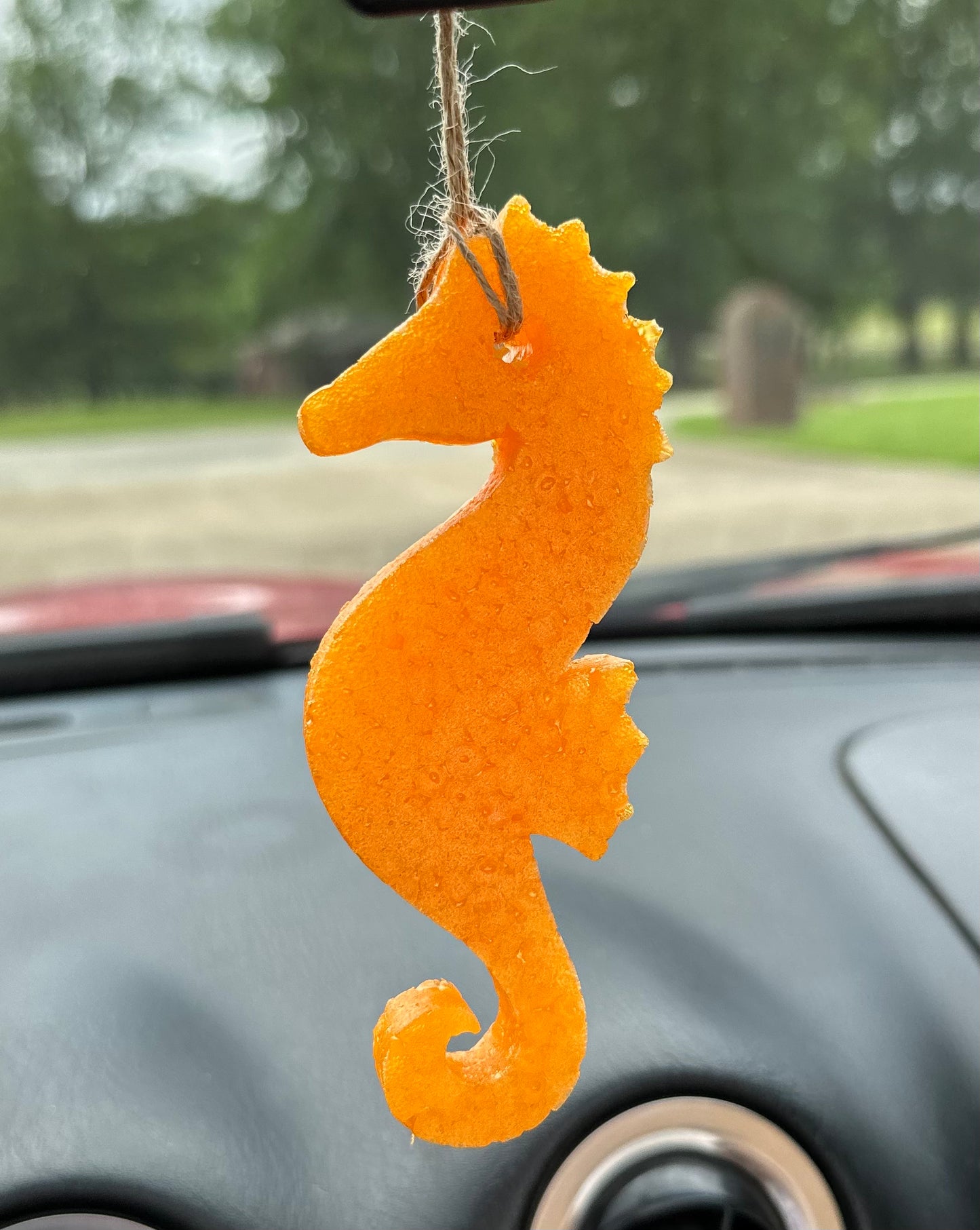 Sea Horse Freshie