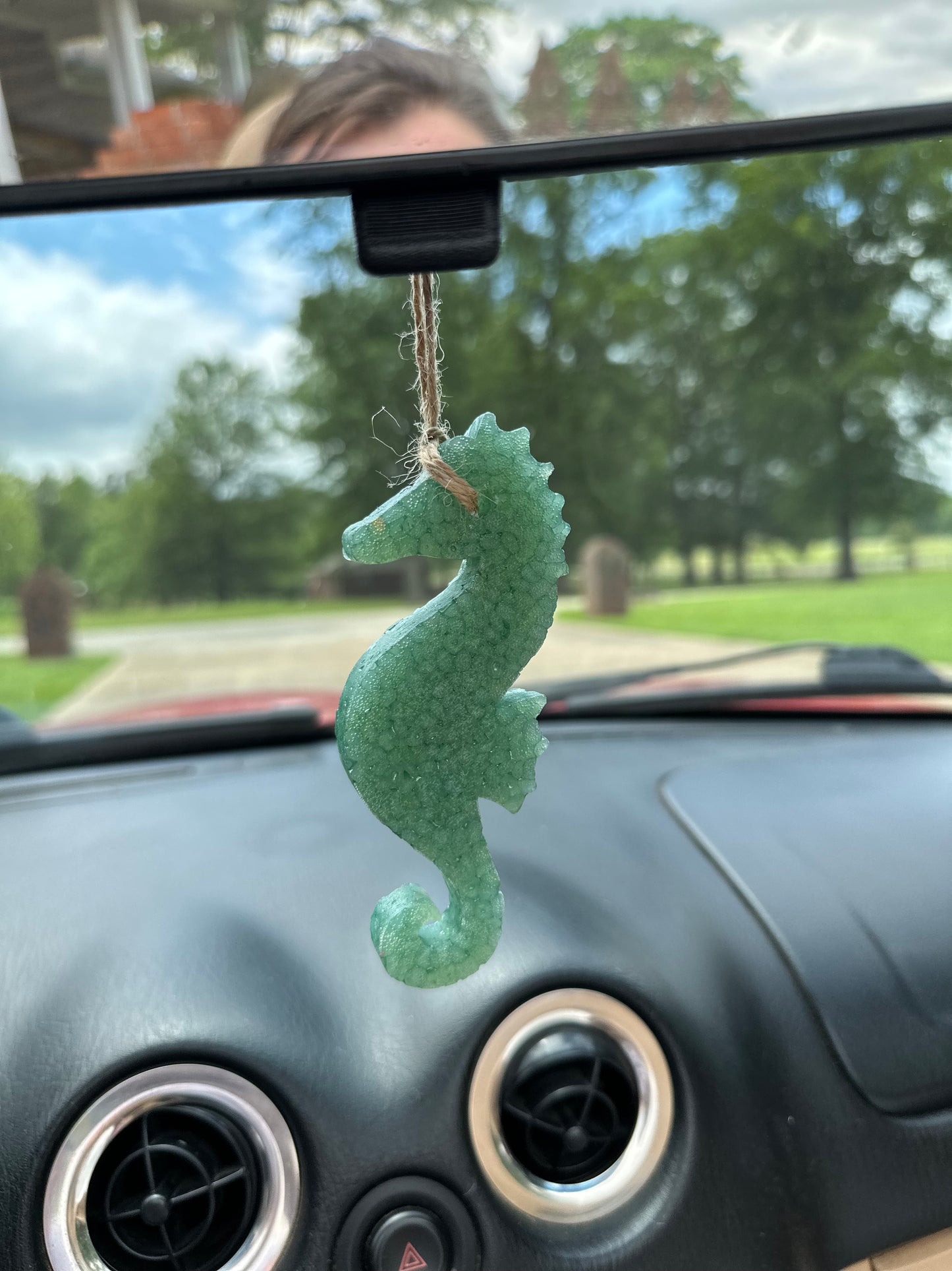 Sea Horse Freshie