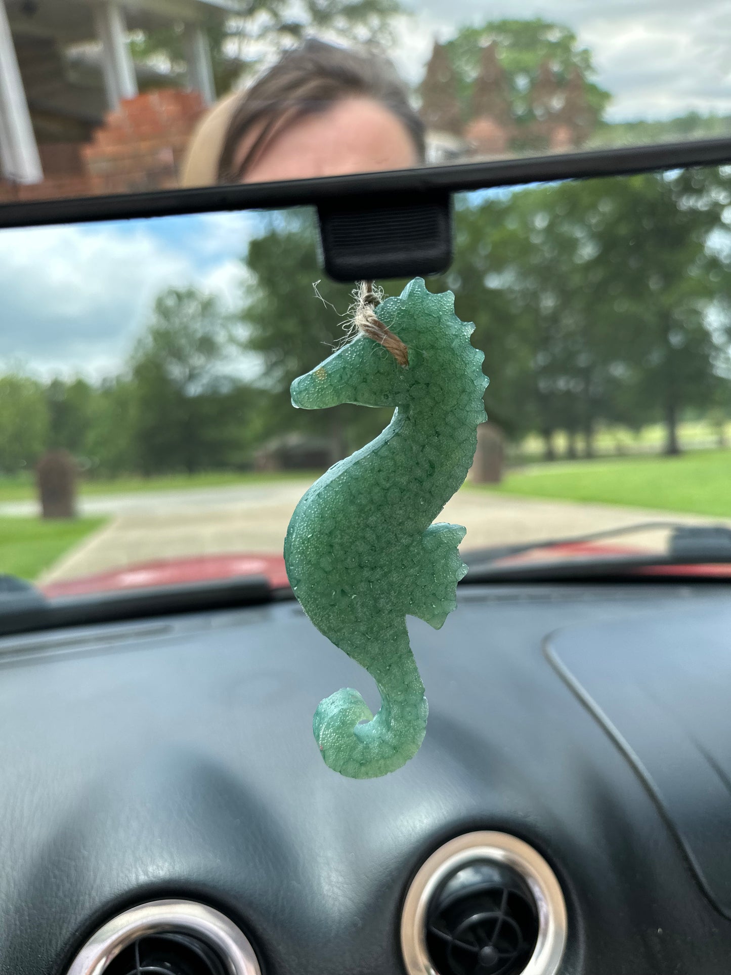 Sea Horse Freshie