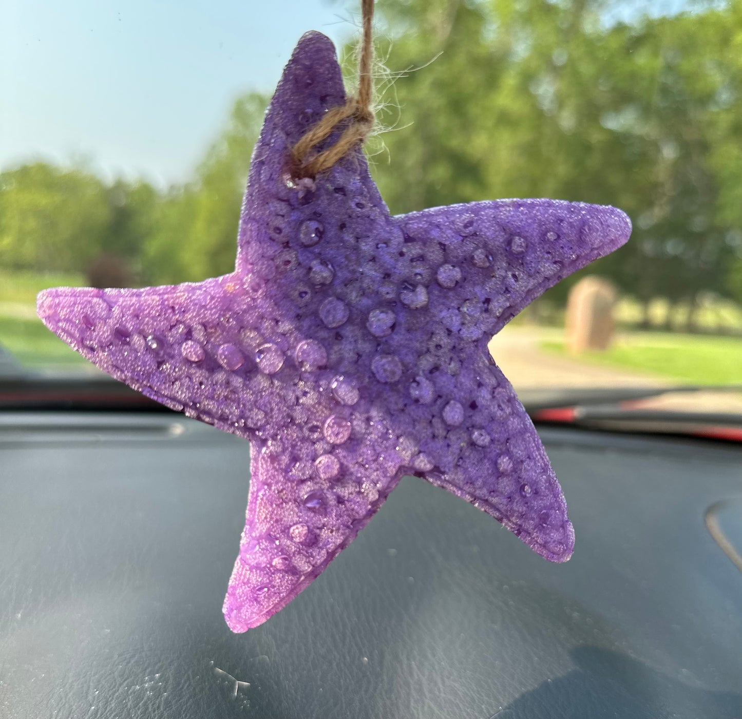 Star Fish Freshie