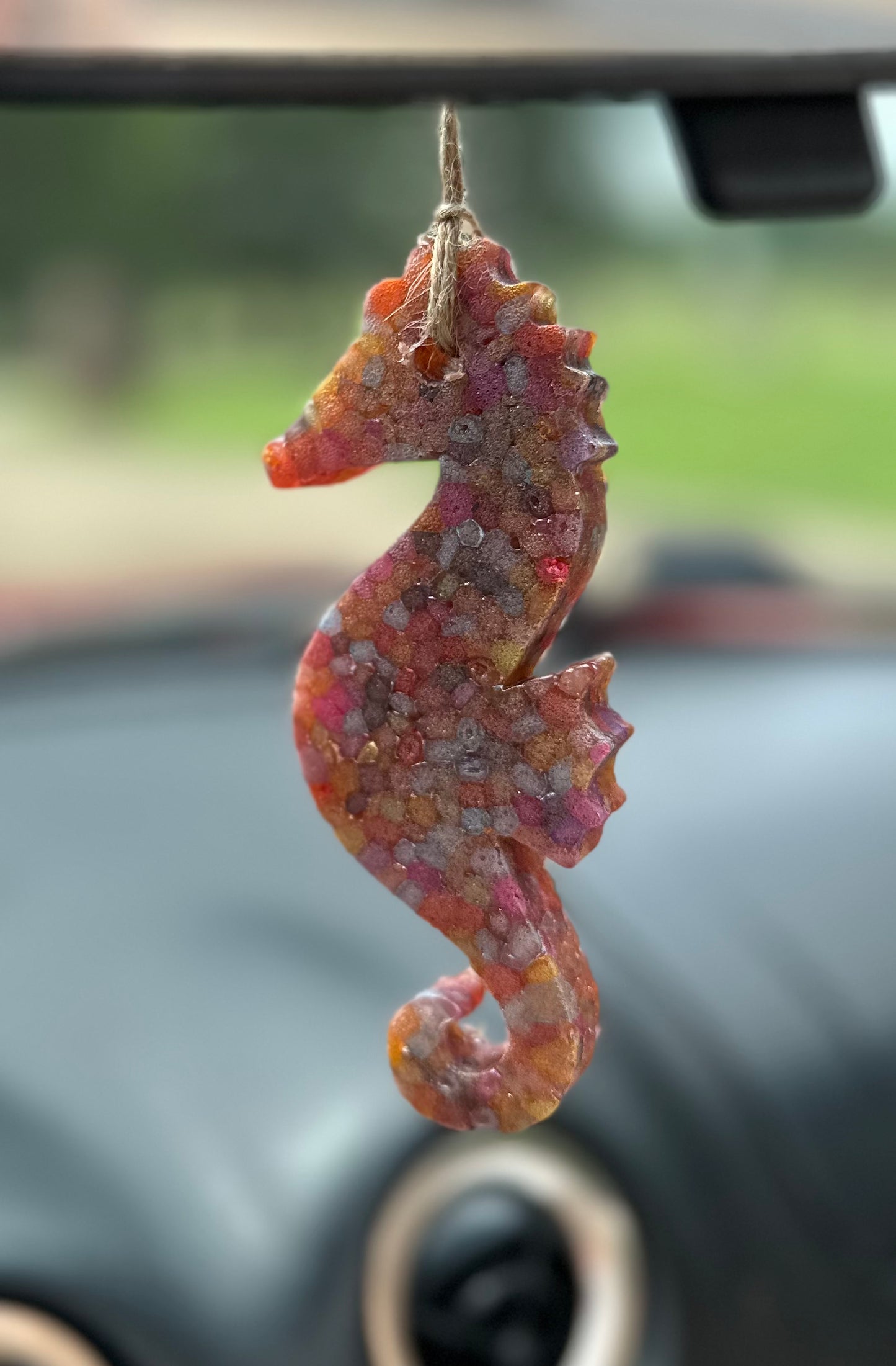 Sea Horse Freshie