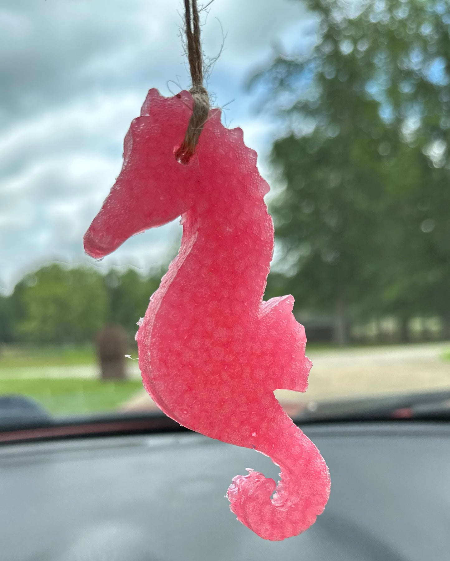 Sea Horse Freshie