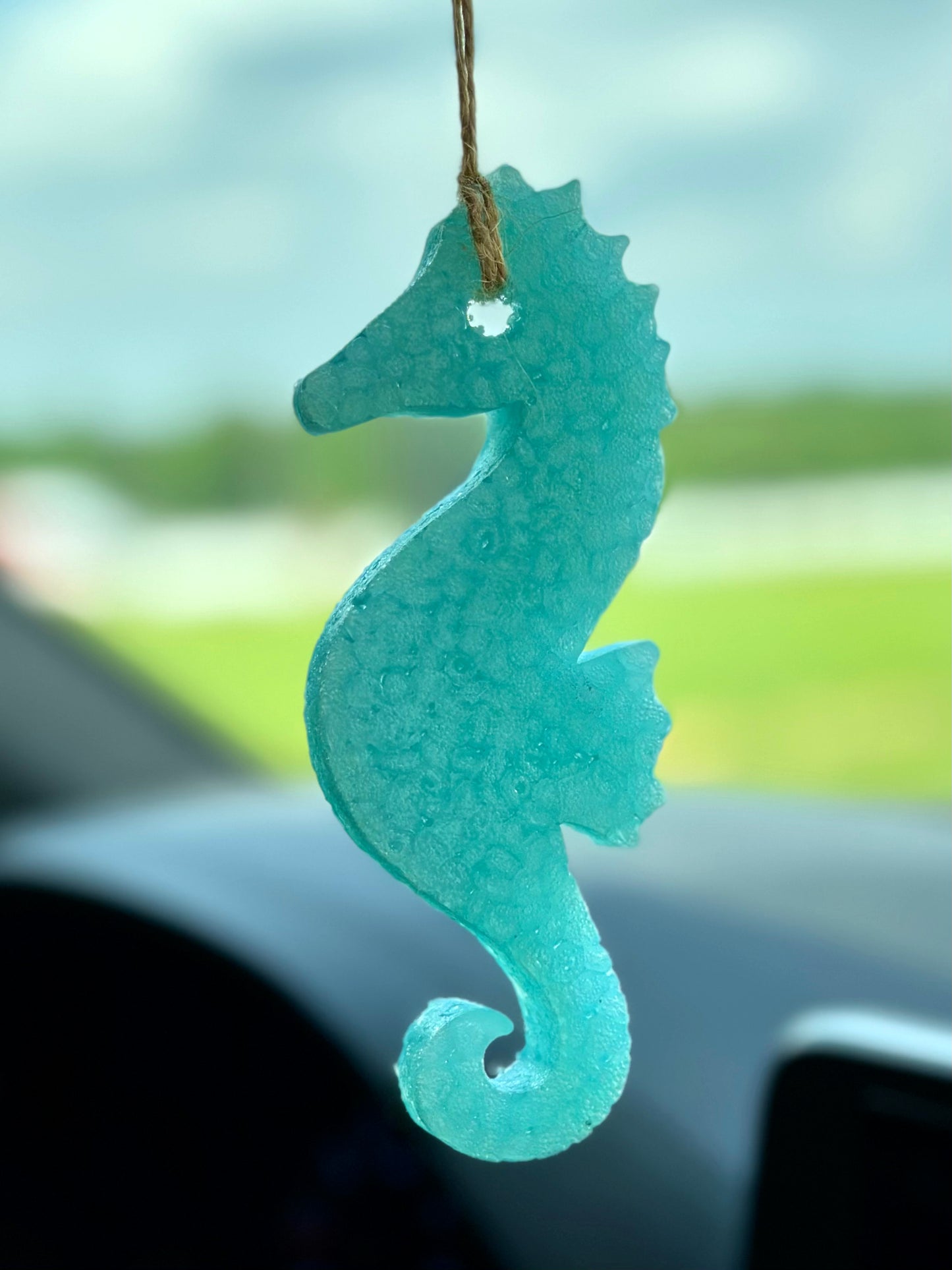 Sea Horse Freshie