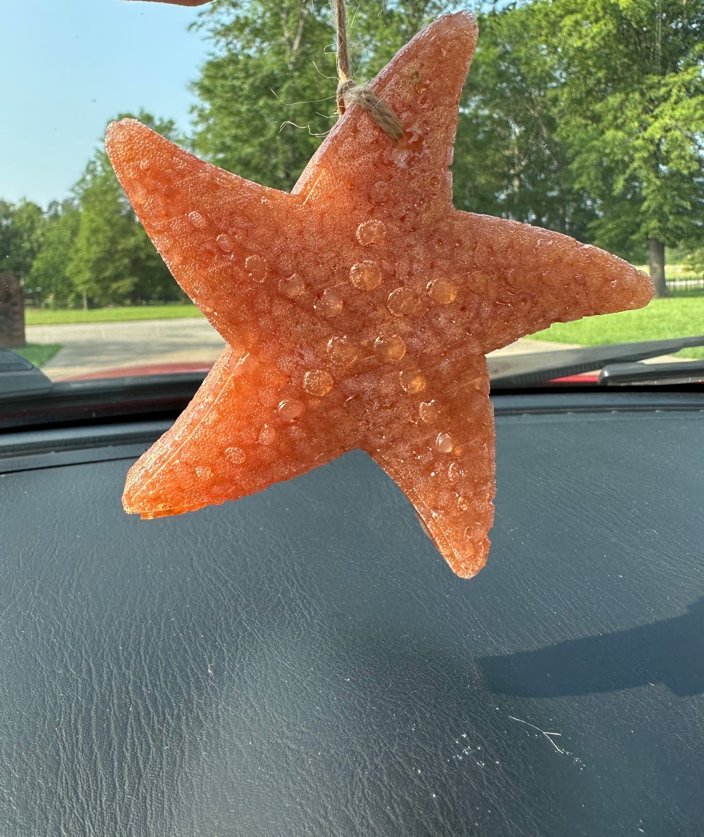 Star Fish Freshie